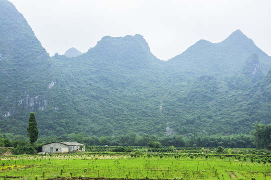 美麗田園