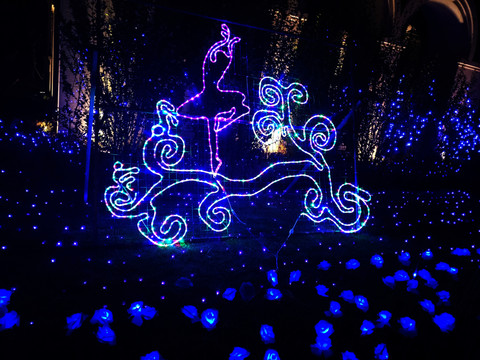 芭蕾舞造型燈光秀