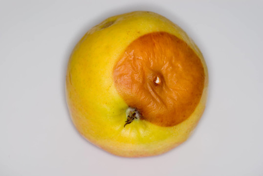 爛蘋(píng)果