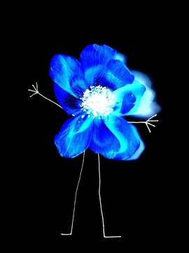 花