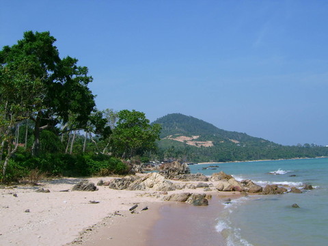 美麗的
