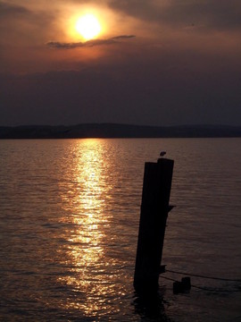 seeidylle