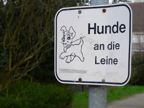 hundeverbot