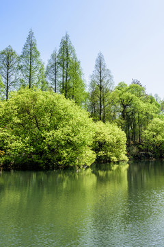 西湖周邊水景