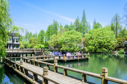 西湖周邊水景