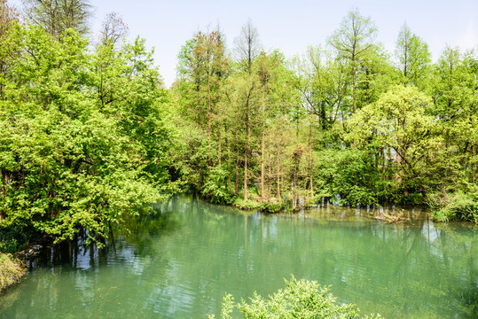 西湖周邊水景