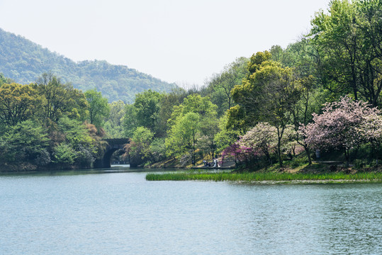 西湖周邊水景