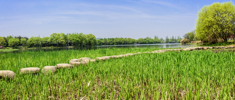 西湖周邊水景