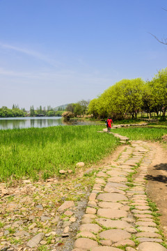 西湖周邊水景