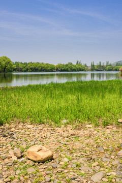 西湖周邊水景