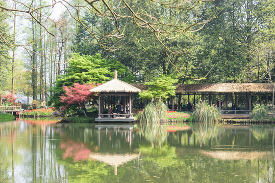太子灣公園美景