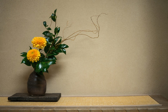 插花藝術(shù)