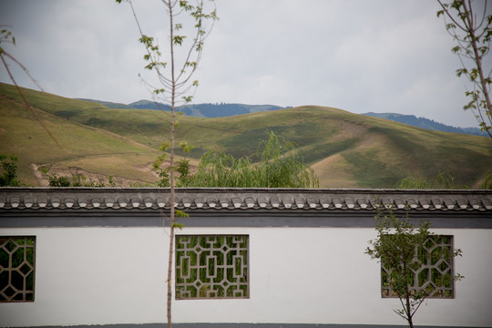 新源