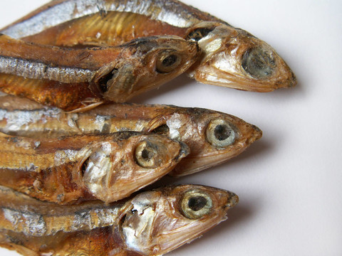 曬干的魚(yú)