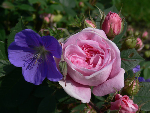 藍(lán)色的光芒