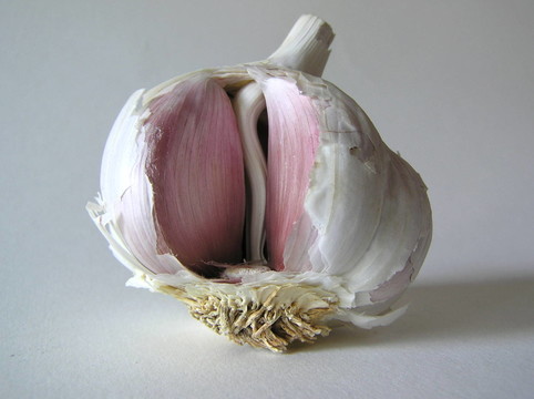 一個偉大的塊莖