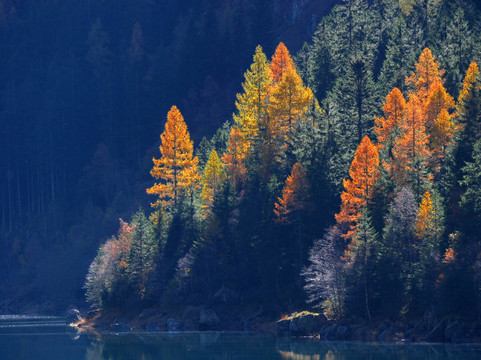 herbstleuchten