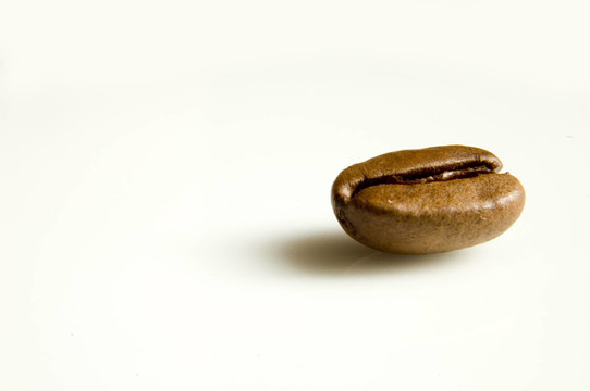 kaffeeb？小公雞