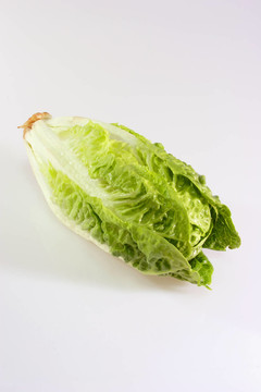生菜