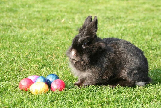 ostern5