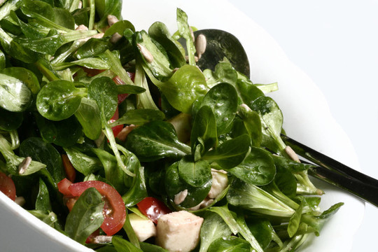 rohkostsalat