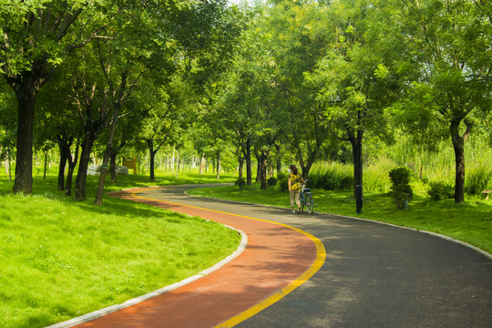 綠樹(shù)林小路