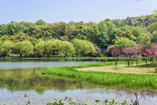 湖灣