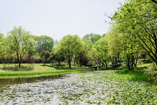 西湖周邊水景