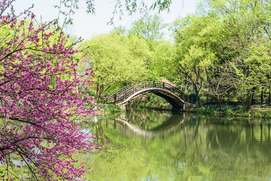 西湖周邊水景