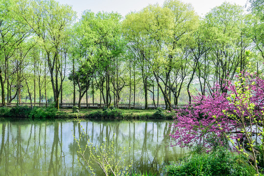 西湖周邊水景
