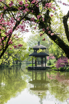 西湖周邊水景