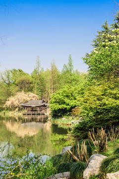 杭州花圃園林景觀