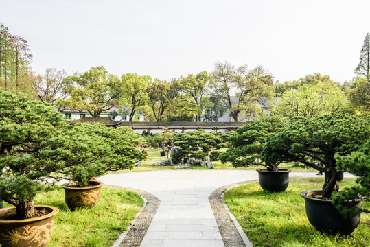 杭州花圃園林景觀