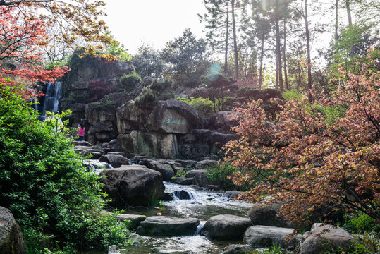 杭州花圃園林景觀