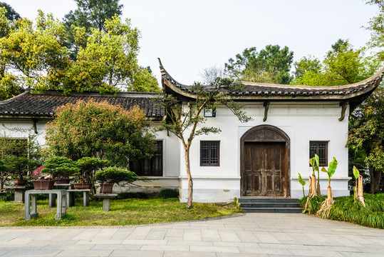 盆景園