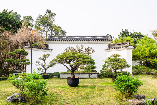 盆景園