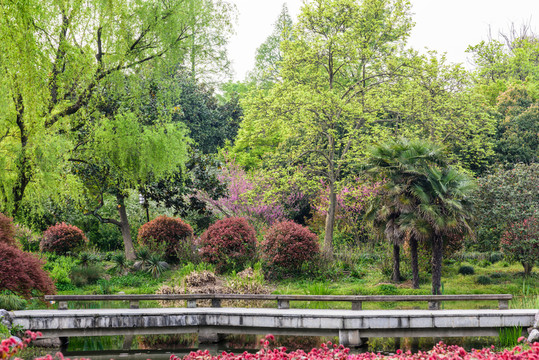 湖畔花園