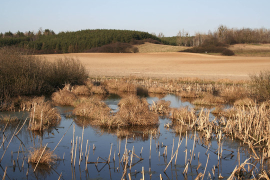 在Schorfheide