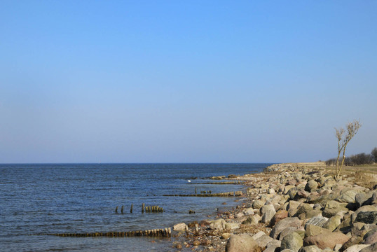 岸