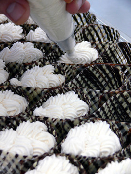 生產(chǎn)飼料