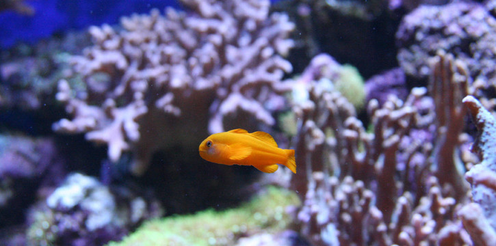 水族館