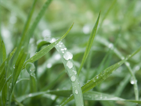 雨滴