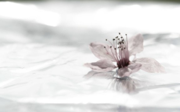 杏仁花片