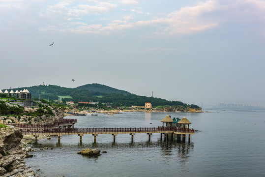 養(yǎng)馬島