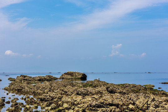 養(yǎng)馬島 礁石灘