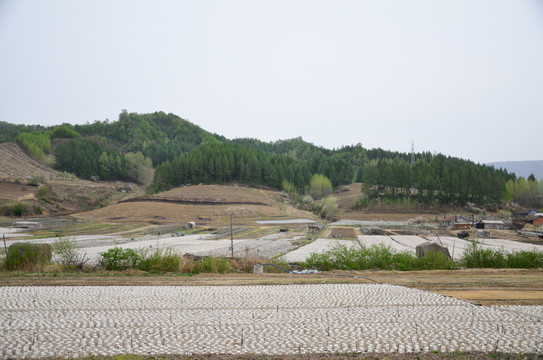 黃松甸木耳養(yǎng)殖基地