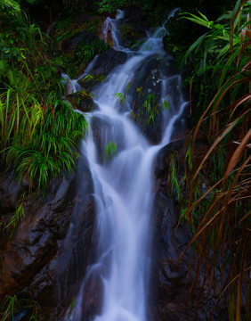 清澈的溪水 溪水 河流