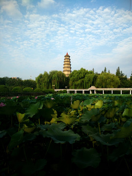 龍泉塔