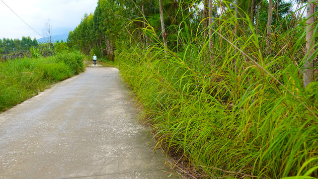 鄉(xiāng)村道路
