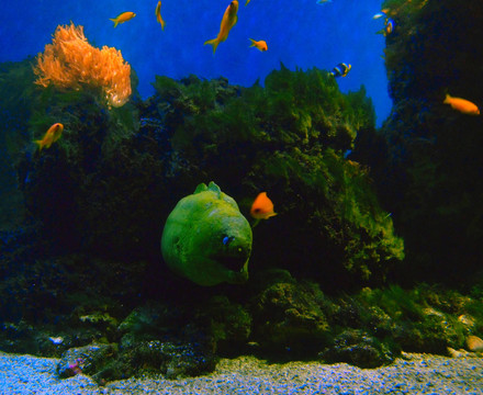 水族館